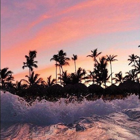 Meet your Posher, Stephanie - Picture 1 of 1